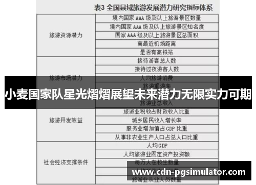 小麦国家队星光熠熠展望未来潜力无限实力可期