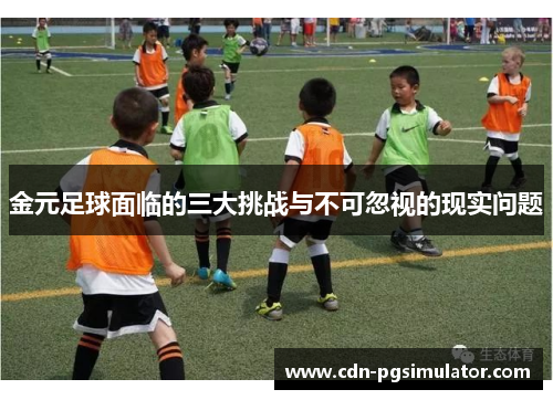 金元足球面临的三大挑战与不可忽视的现实问题 金元足球面临的三大挑战与不可忽视的现实问题