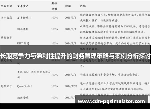 长期竞争力与盈利性提升的财务管理策略与案例分析探讨 长期竞争力与盈利性提升的财务管理策略与案例分析探讨