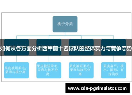 如何从各方面分析西甲前十名球队的整体实力与竞争态势