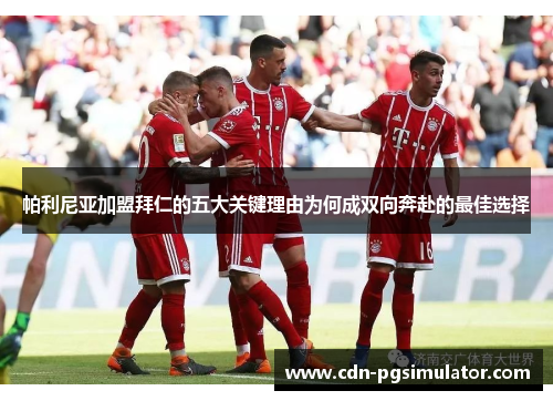 帕利尼亚加盟拜仁的五大关键理由为何成双向奔赴的最佳选择