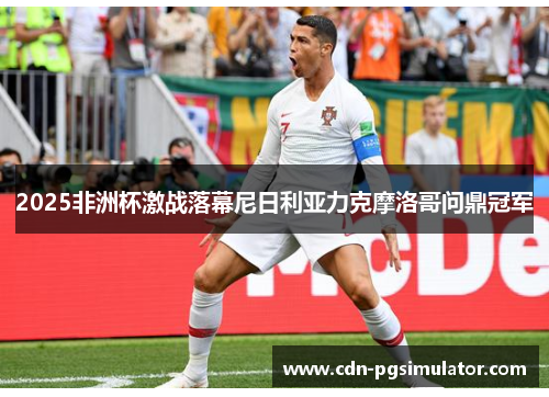 2025非洲杯激战落幕尼日利亚力克摩洛哥问鼎冠军 2025非洲杯激战落幕尼日利亚力克摩洛哥问鼎冠军