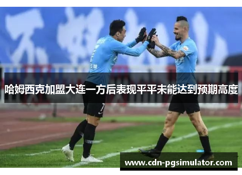 哈姆西克加盟大连一方后表现平平未能达到预期高度 哈姆西克加盟大连一方后表现平平未能达到预期高度