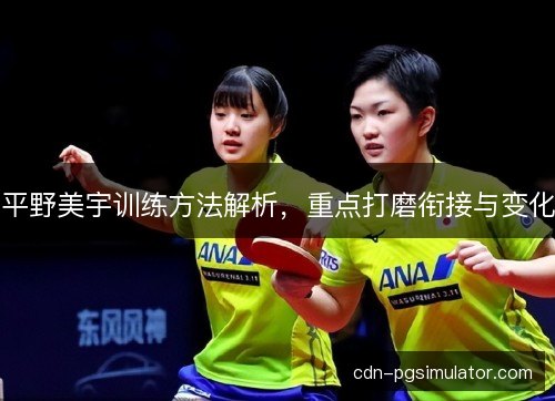 平野美宇训练方法解析，重点打磨衔接与变化